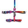 Zeecat Prisma Harness & Leash1