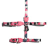 Zeecat Split Harness & Leash1