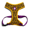 Zeedog Honey Mesh Plus Harness1