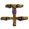 Zeedog Honey H Harness1