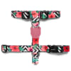 Zeedog Mahalo H Harness1