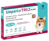 Simparica TRIO 10 a 20 Kg1