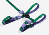 cat harness y leash1