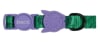 hulk cat collar1