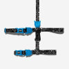 Zeecat Mahleb Harness & Leash1
