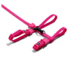 Zeecat Pink Led Harness & Leash1