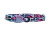 Zeecat Blast Collar1