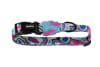 Zeedog Blast Collar2