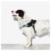 Zeedog Gotham Fly Harness1