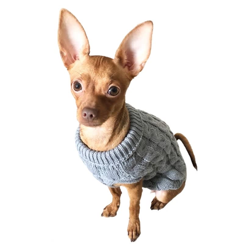 Sueter Para Perros Chihuahua Ropa Para Chihuahua Mini Toy Suéter