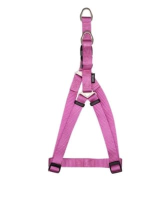 ZEUS ARNES FIG. A S FUCSIA