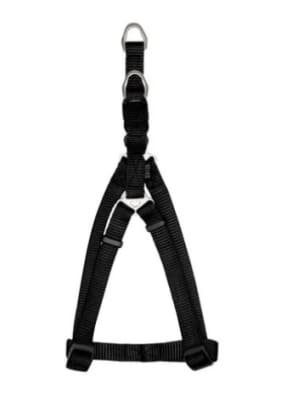 ZEUS ARNES FIG. A S GRAFITO