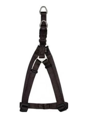 ZEUS ARNES FIG. A M GRAFITO