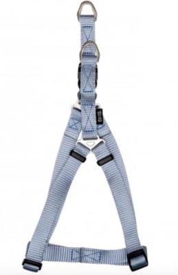 ZEUS ARNES FIG. A M CELESTE