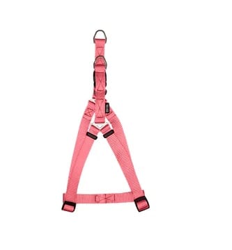 ZEUS ARNES FIG. A M CORAL