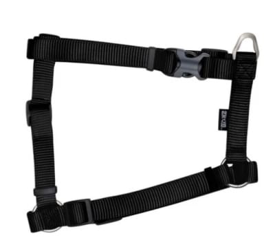 ZEUS ARNES FIG. H L GRAFITO