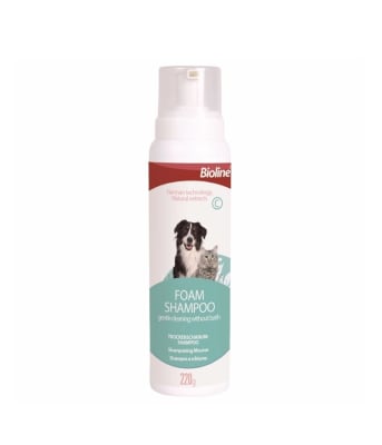 BIOLINE SHAMPOO EN SECO ESPUMA