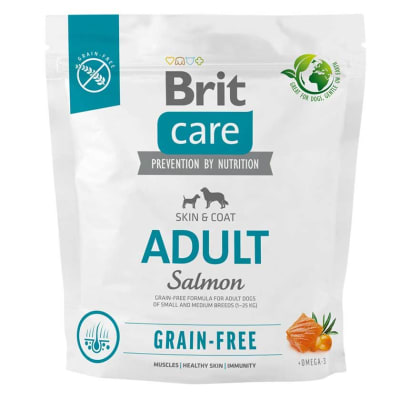 BRIT CARE ADULT SALMON & POTATO 1KG