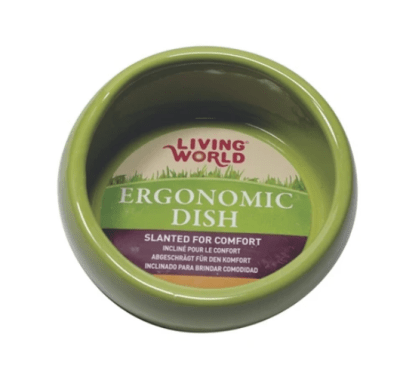 LIVING WORLD COMEDERO ERGONOMICO - VERDE LARGE