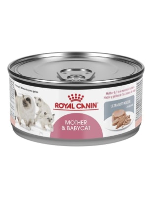 ROYAL CANIN MOTHER & BABYCAT LATA 145gr