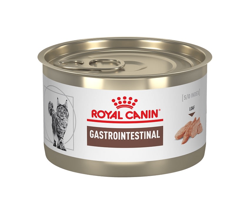 ROYAL CANIN GATO LATA GASTROINTESTINAL 145gr1