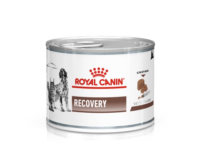 ROYAL CANIN RECOVERY 145gr1