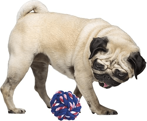 PELOTA CUERDA2