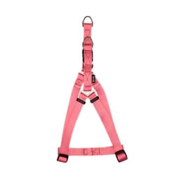 ZEUS ARNES FIG. A S CORAL1