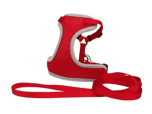 COASTAL COMFORT SOFT HARNESS TRAILLA ROJO1