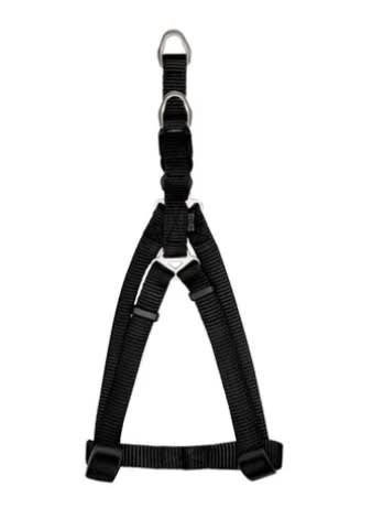 ZEUS ARNES FIG. A S GRAFITO1