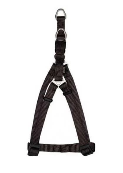 ZEUS ARNES FIG. A M GRAFITO1