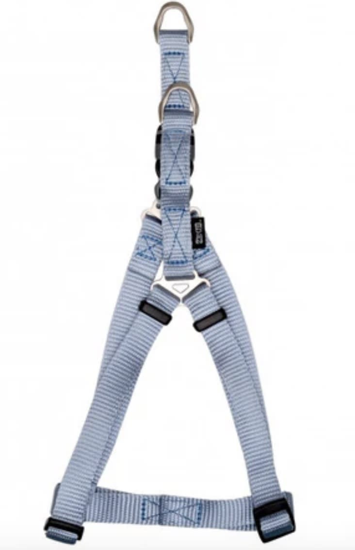 ZEUS ARNES FIG. A M CELESTE1