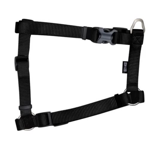 ZEUS ARNES FIG. H L GRAFITO1