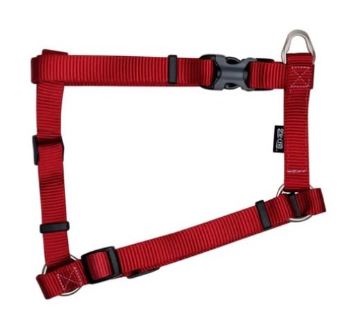 ZEUS ARNES FIG. H L ROJO1