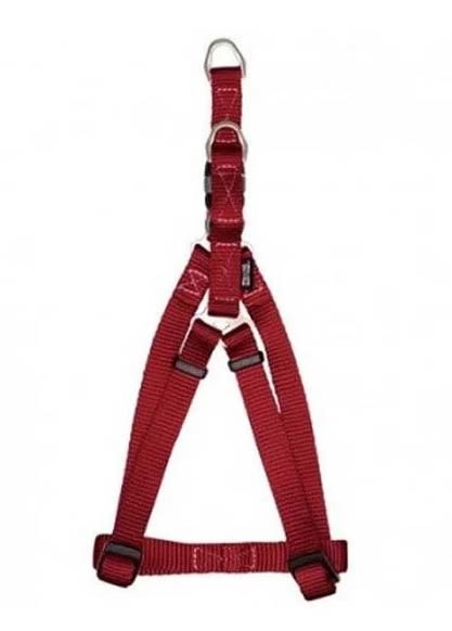 ZEUS ARNES FIG. A M ROJO1