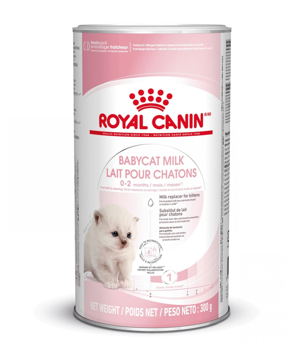 ROYAL CANIN BABYCAT MILK 300gr1