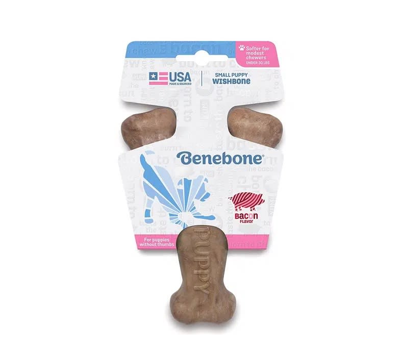 BENEBONE WISHBONE BACON PUPPY1
