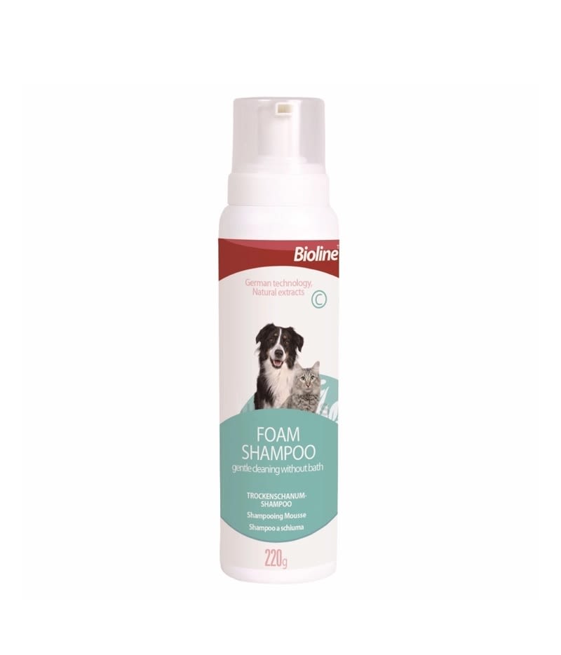 BIOLINE SHAMPOO EN SECO ESPUMA1