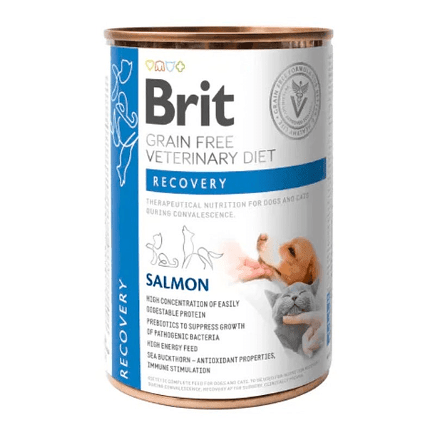 BRIT VETERINARY DIET PERRO Y GATO LATA RECOVERY 400GR1