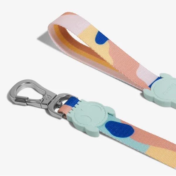 CANNAE ZEE.DOG COLUMBIA LEASH SMALL2