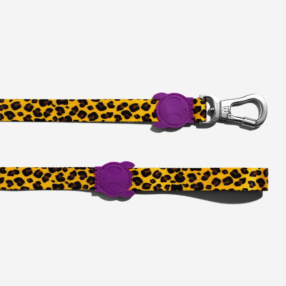 ZEE.DOG HONEY LEASH EXTRA SMALL2