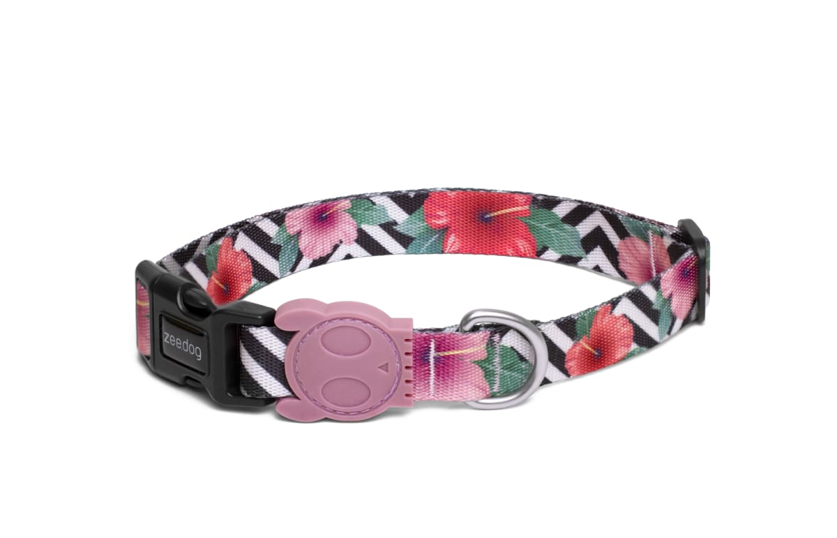 ZEE.DOG MAHALO COLLAR LARGE1