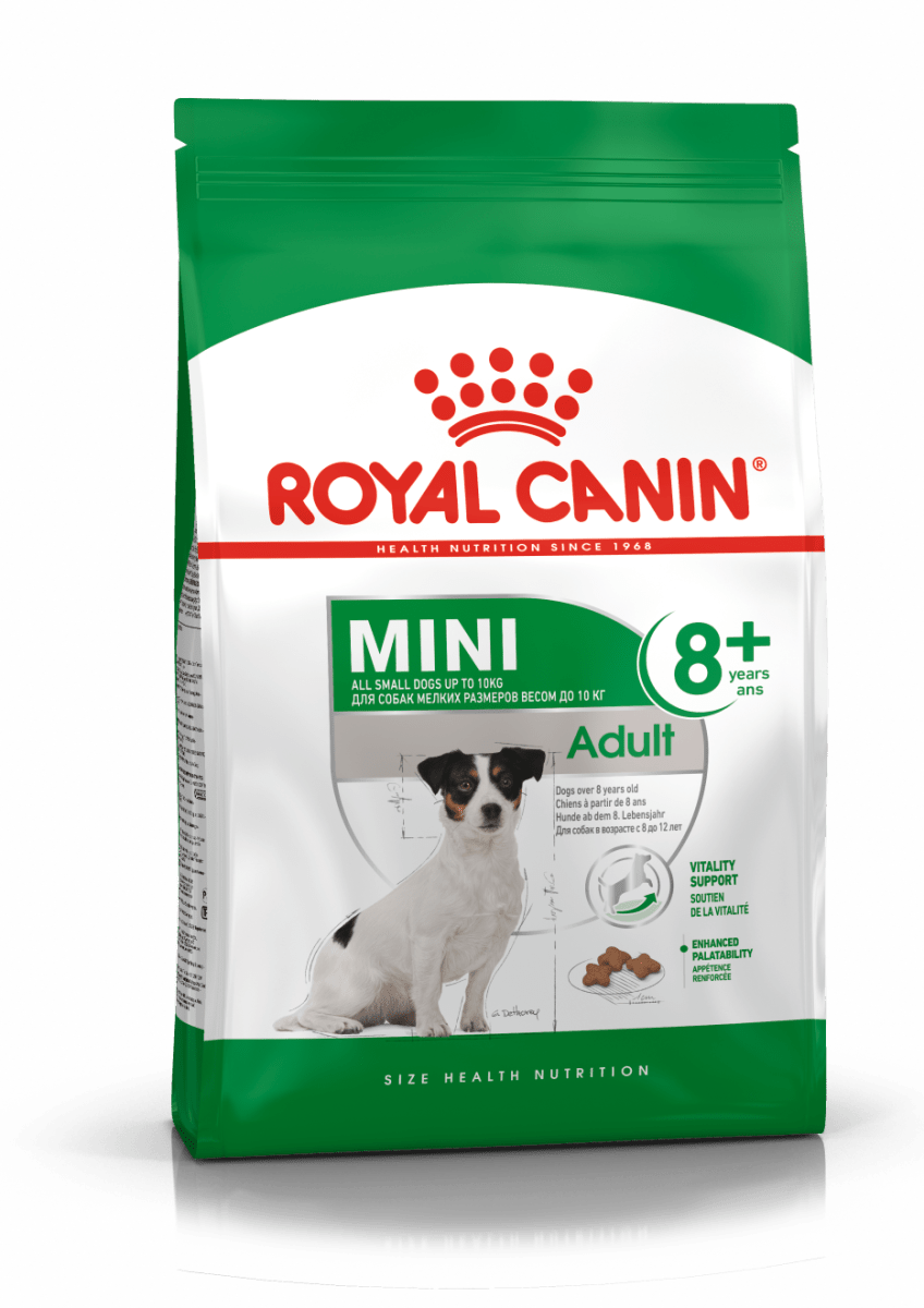 ROYAL CANIN MINI ADULTO +8 3kg1