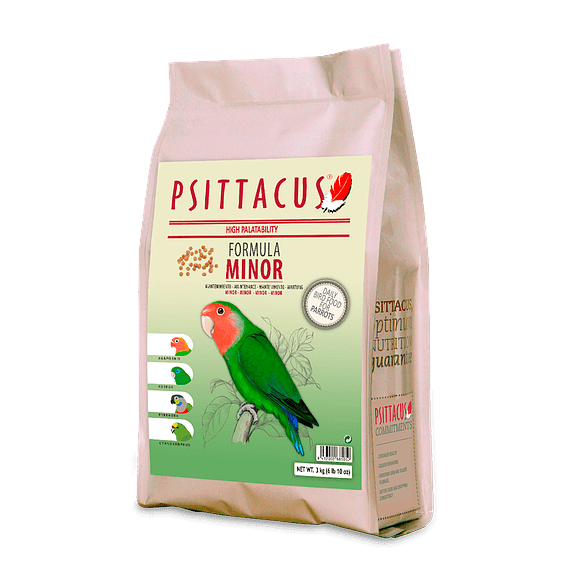 PSITTACUS MINOR 3KG1