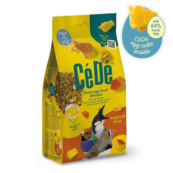 CÉDÉ HÚMEDO FRUTAS TROPICALES 200GR1
