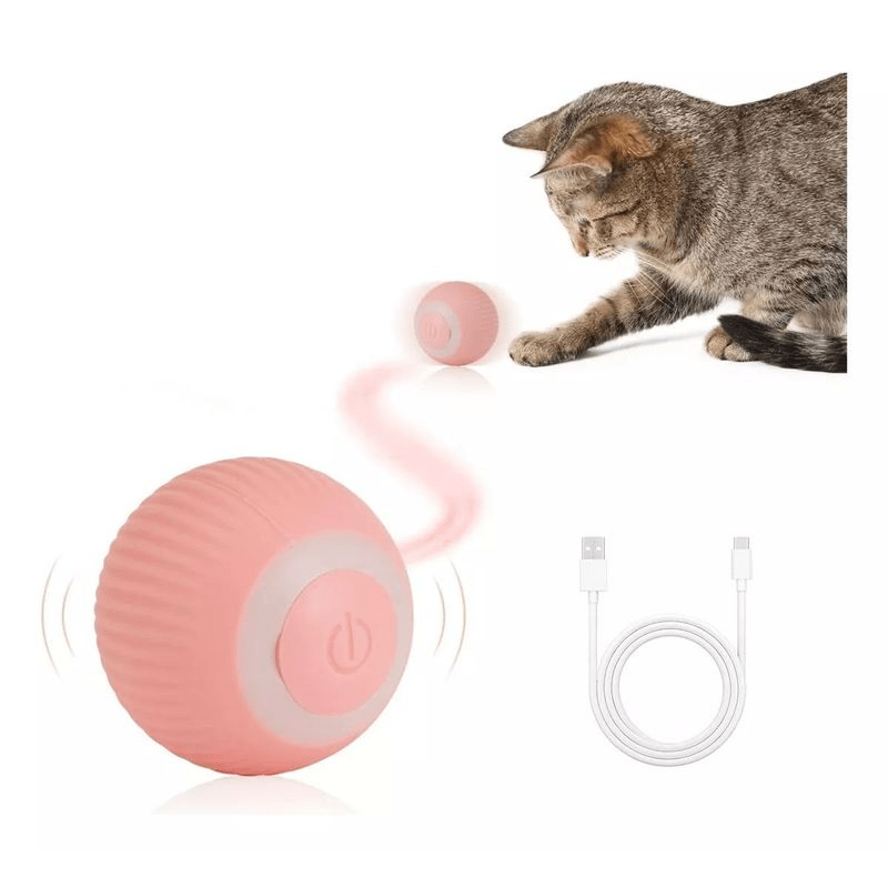 WONDER CAT PELOTA INTELIGENTE S2