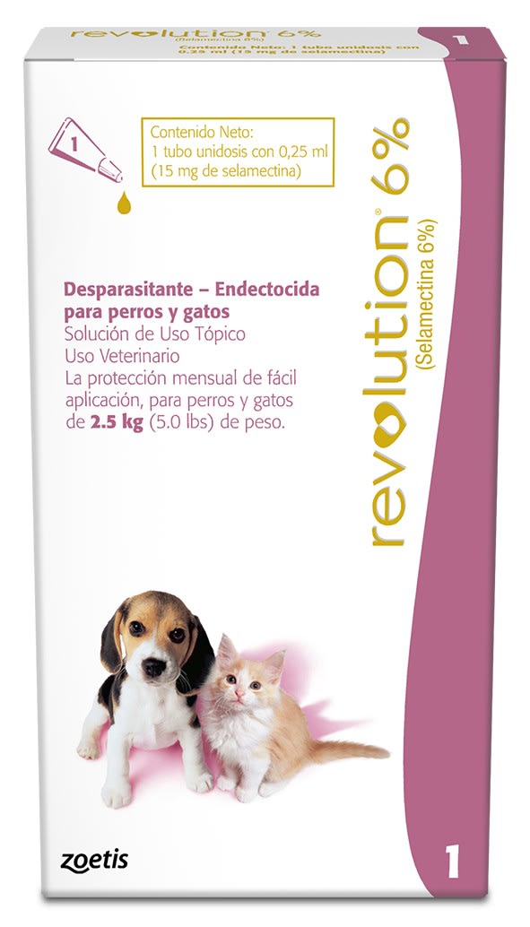 REVOLUTION 6% GATITO DE 600gr A HASTA 2,5kg1