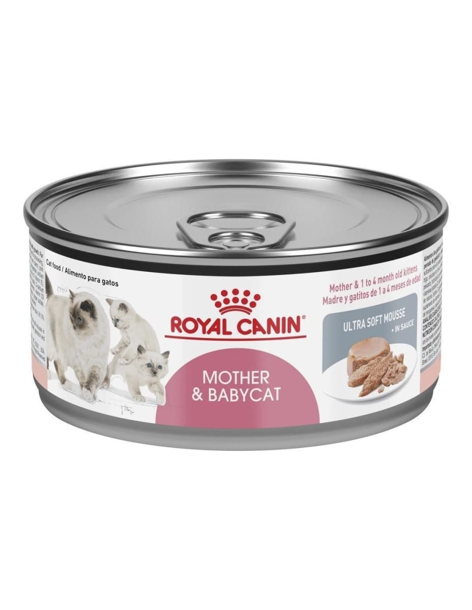ROYAL CANIN MOTHER & BABYCAT LATA 145gr1