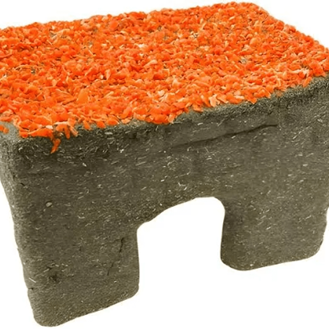 CASA DE TIMOTHY CON ZANAHORIA1