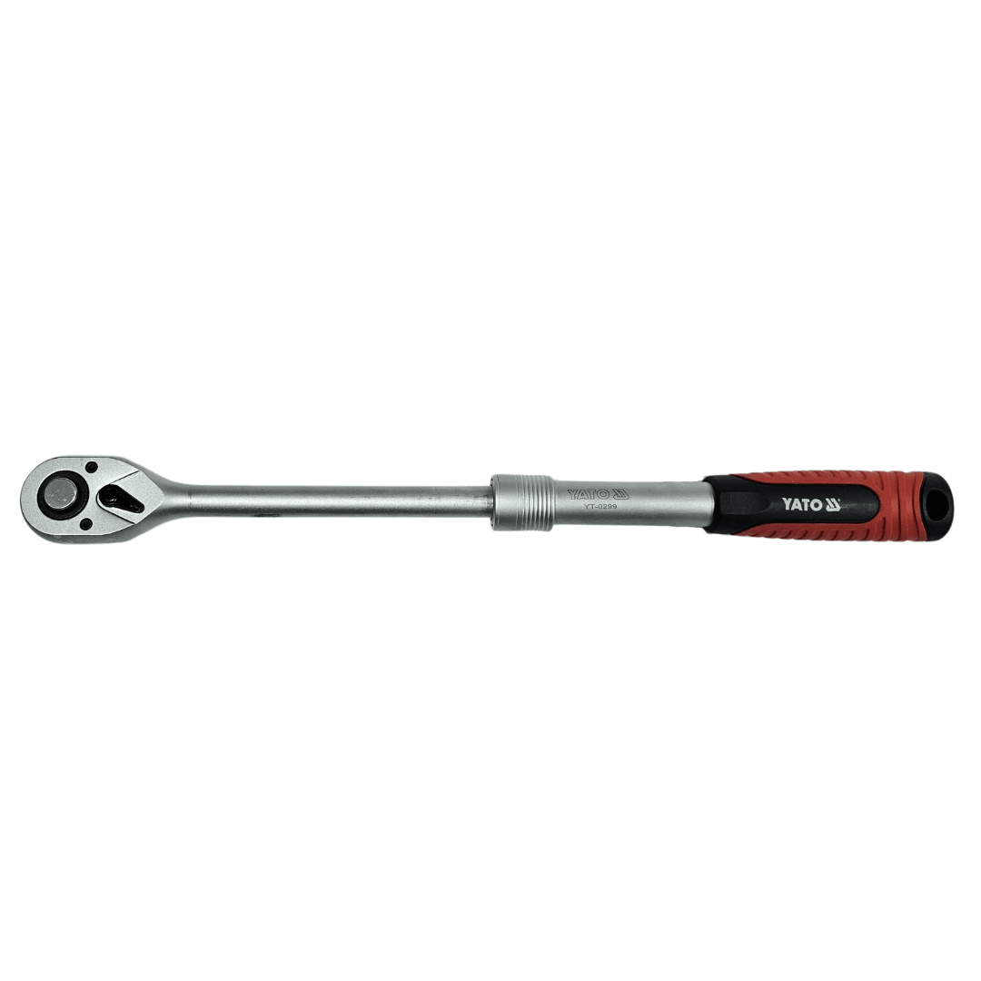 CHICHARRA EXTENSIBLE 1/22